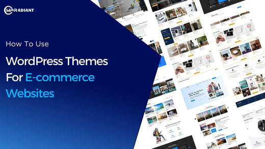 How To Use WordPress Themes For E-commerce Websites