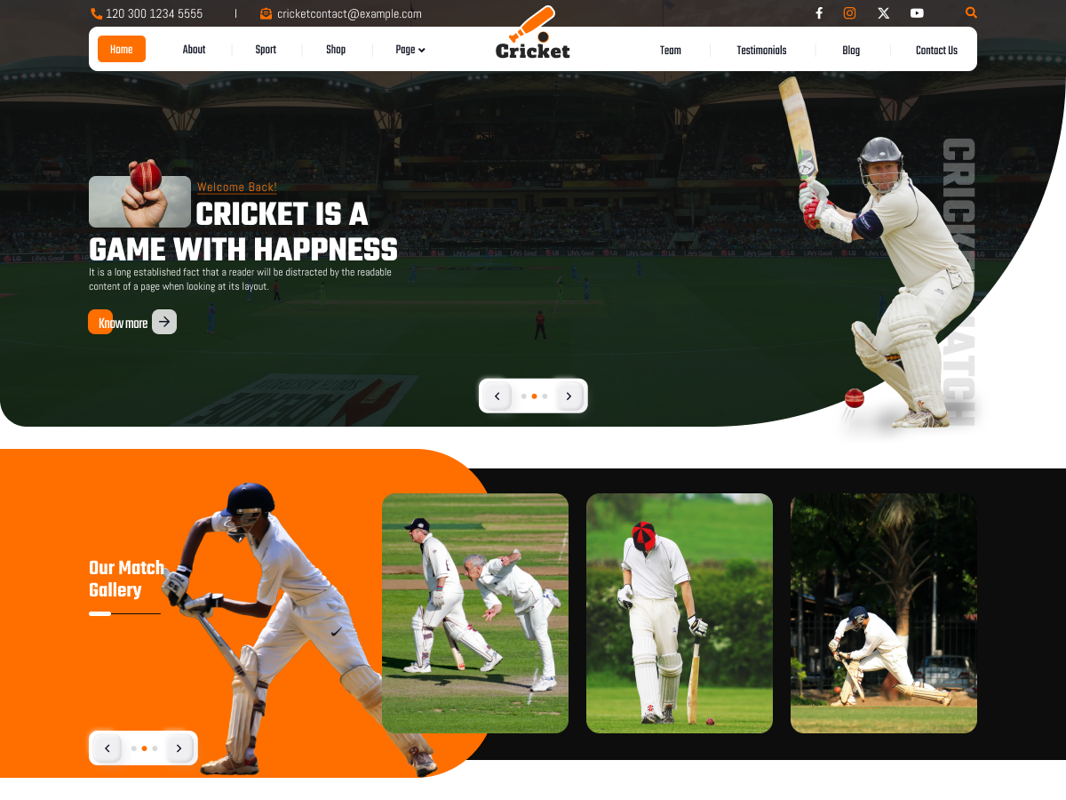 Free Cricket WordPress Theme